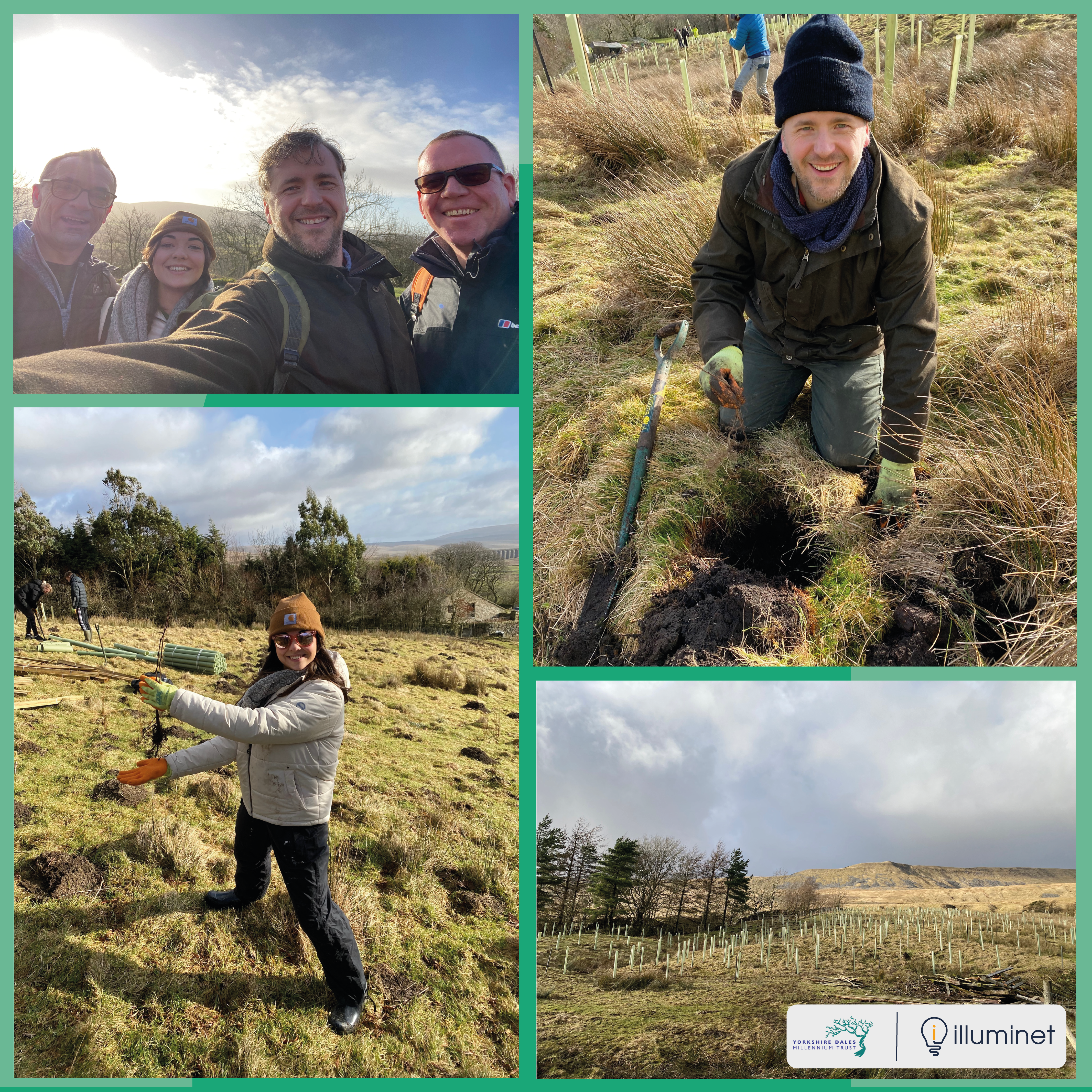 Group of us visited Yorkshire Dales to help plant 1100 trees in Scar Top!